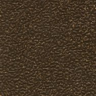 Coffee Bean Texture