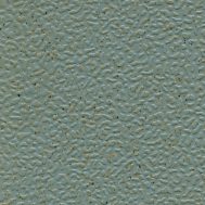 Robin Egg Texture