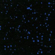 Blue Night